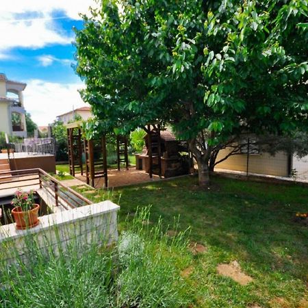 Ana M Apartments Novigrad  Ngoại thất bức ảnh