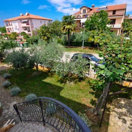 Ana M Apartments Novigrad  Ngoại thất bức ảnh
