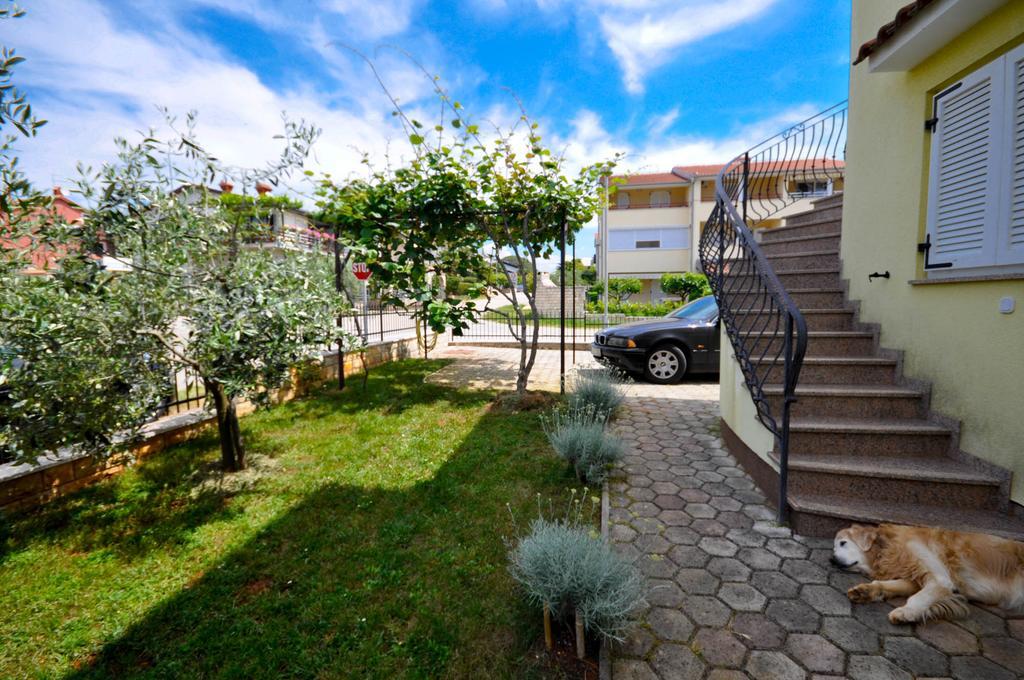 Ana M Apartments Novigrad  Ngoại thất bức ảnh